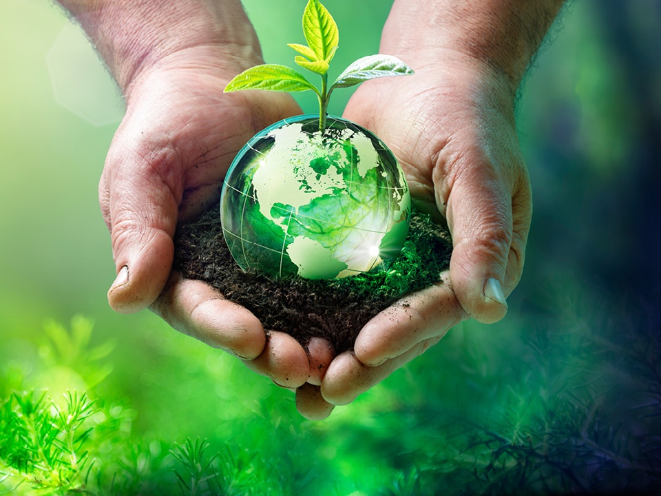 Photovoltaic manufacturer 